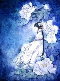 （網王同人）星光月影