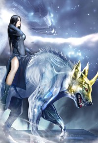 异术强婿秦浩林冰婉